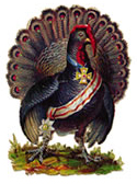 Thanksgiving Turkey